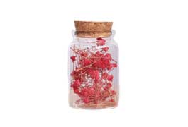 Factory direct 20ml Clear mini glass vials with cork wholesale